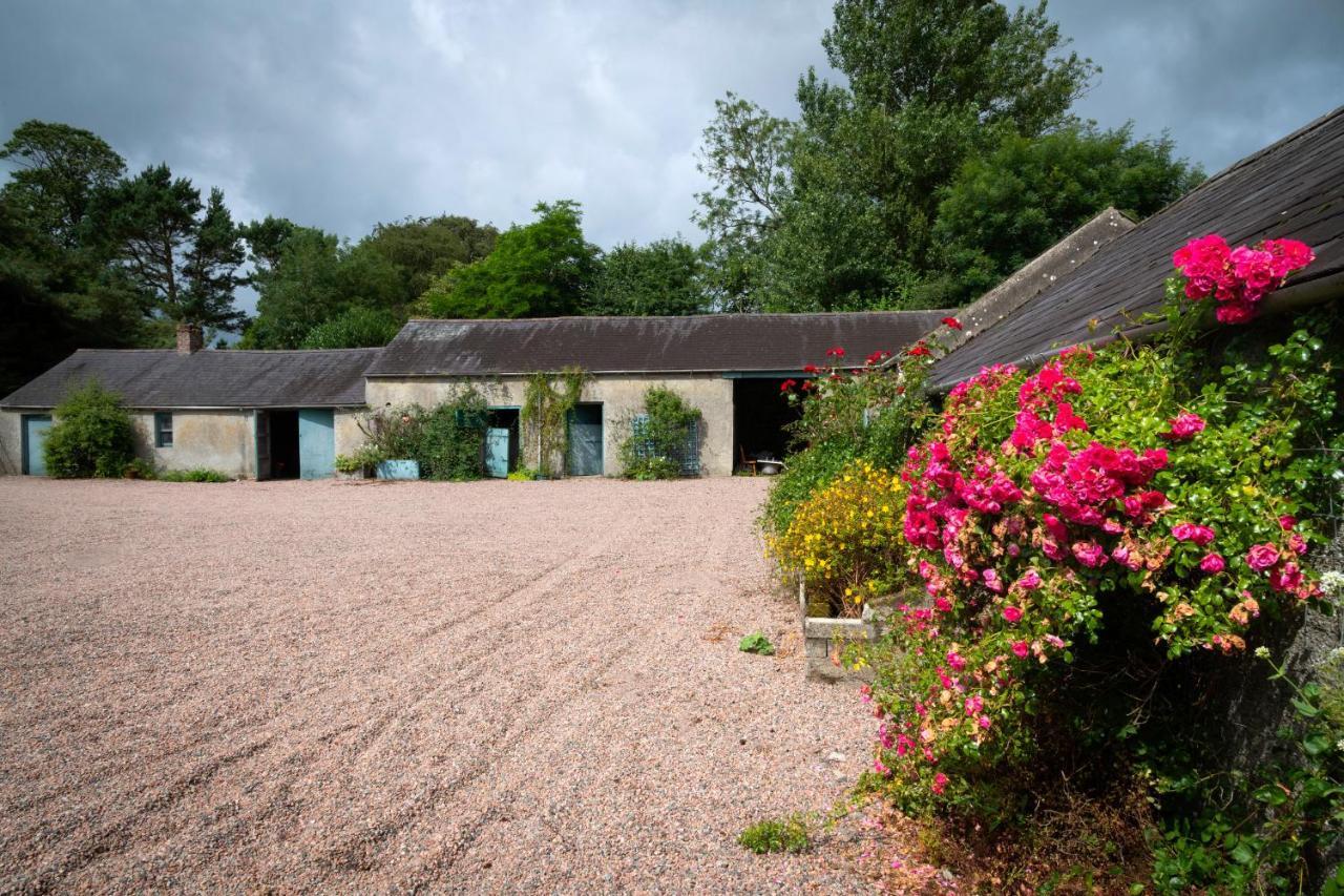 Knockanboy House Ballymoney Buitenkant foto
